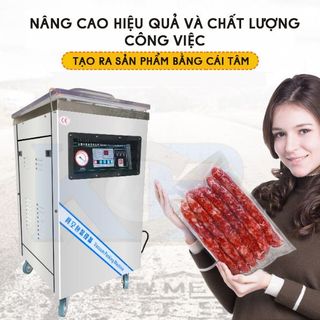 Máy hút chân không công nghiệp DZQ-500