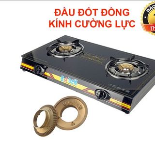Bếp ga đôi Raiden đầu đốt Mol nhôm RD-366SN