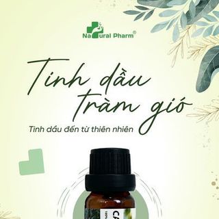 Tinh dầu tràm giá sỉ