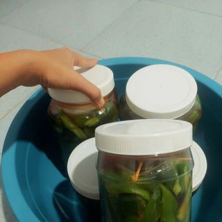 Dưa mắm dưa leo nhà làm