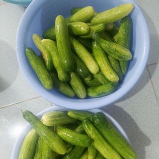 Dưa mắm dưa leo nhà làm