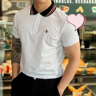 Quần áo nam, áo thun polo cổ trụ chất liệu cá sấu cotton 4 chiều mịn size từ 55kg - 85kg