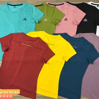 Đồ Thể Thao Áo Thun Nữ Big Size Thể Thao Siêu Đẹp Giá Sỉ, Đẹp Chuẩn
