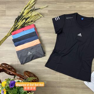 Đồ Thể Thao Áo Thun Nữ Big Size Thể Thao Siêu Đẹp Giá Sỉ, Đẹp Hot