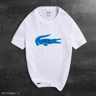 Áo thun nam cổ tròn chất Cotton 4 chiều size từ 55kg - 85kg