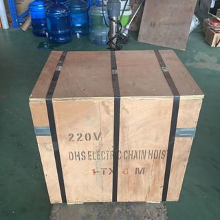 Palang xích điện DHS 220V 1 tấn - 6 mét
