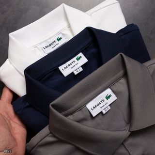 Áo thun cổ bẻ nam chất cá sấu cotton 4 chiều size từ 55kg - 85kg
