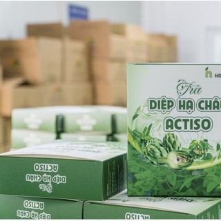 TRÀ UỐNG LIỀN DIỆP HẠ CHÂU, ACTISO