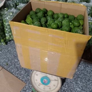 Lá Chúc sấy khô