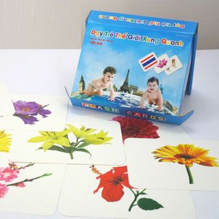 Bộ thẻ học Flash Card Glenn Doman chuẩn 100% - Thế giới xung quanh A5