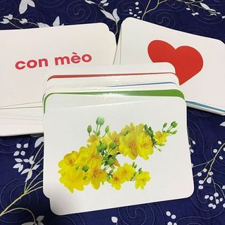 Bộ thẻ học Flash Card Glenn Doman chuẩn 100% - Thế giới xung quanh A5