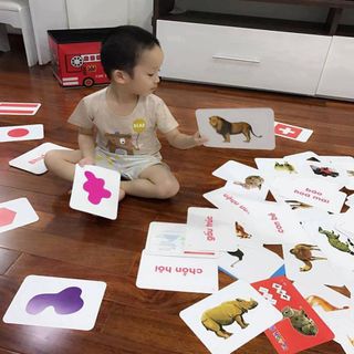 Bộ thẻ học Flash Card Glenn Doman chuẩn 100% - Thế giới xung quanh A5