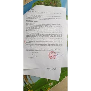 Kem Lột Nhẹ Nghệ Và Dưa Leo Thorakao 120gr