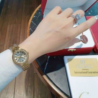 ĐỒNG HỒ MK NEW VIỀN HỘT