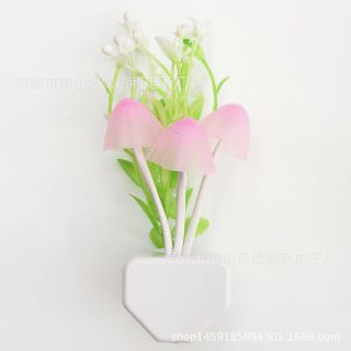 Bóng ngủ