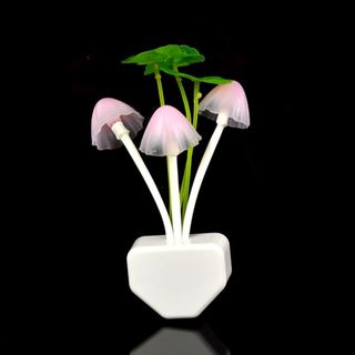 Bóng ngủ