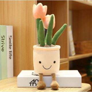 Chậu Hoa Tulip Mặt Cười Decor Xinh