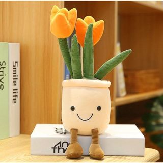 Chậu Hoa Tulip Mặt Cười Decor Xinh