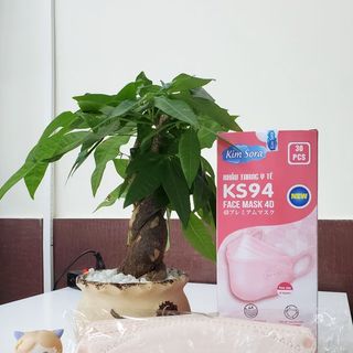 Khẩu trang y tế cao cấp KS94 4 lớp - 10 cái/ hộp - 30 hộp/ thùng