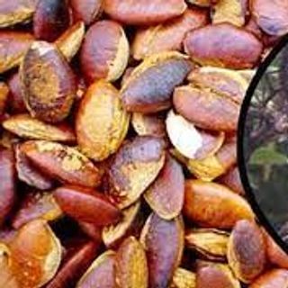 Hạt Kơ Nia - Đặc sản từ đại ngàn Tây Nguyên mang đậm hương vị của núi rừng