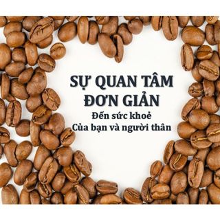 Túi thơm cà phê hạt nguyên chất rang mộc khử mùi ô tô, giày, nhà bếp, phòng làm việc, tăng sự tỉnh táo, tập trung