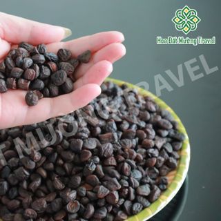 HẠT DỔI RỪNG