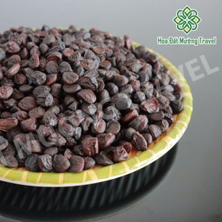HẠT DỔI RỪNG