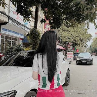 Lô thun cổ trụ thái borip