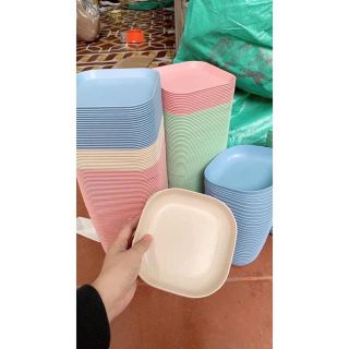 Bộ set đĩa lúa mạch