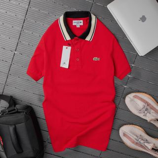 Áo thun polo nam, áo thun cổ bẻ nam, 100% chất cá sấu cotton 4c xịn size từ 55kg - 85kg