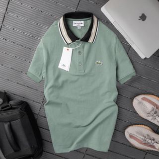 Áo thun polo nam, áo thun cổ bẻ nam, 100% chất cá sấu cotton 4c xịn size từ 55kg - 85kg