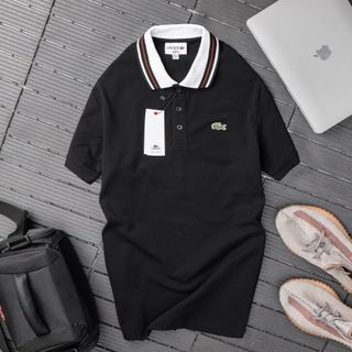 Áo thun polo nam, áo thun cổ bẻ nam, 100% chất cá sấu cotton 4c xịn size từ 55kg - 85kg