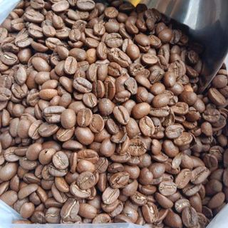 Cà phê hạt nguyên chất 100% Robusta rang mộc