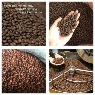 Cà phê hạt nguyên chất 100% Robusta rang mộc
