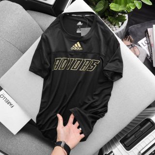 Áo thể thao nam, áo thun dệt kim chất thun lỗ kim co giãn 4c size từ 55kg - 85kg