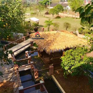 Tranh nhân tạo