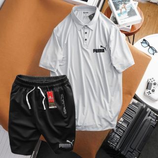 (bigsize) Set bộ Quần short thun, áo thun polo lạnh form bigsize 80kg - 130kg - Pu ma