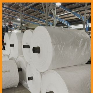 Manh PP dệt có tráng và không tráng
