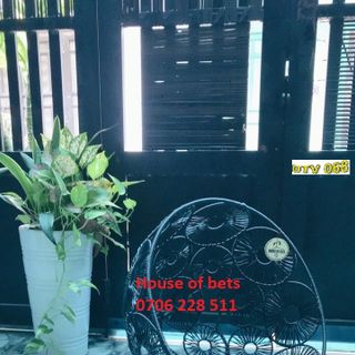 Nhà cho PET chó, mèo, thú cưng