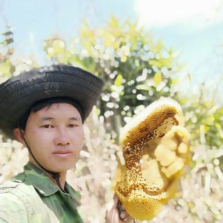 Mật ong ruồi nguyên tổ Đăk Nông