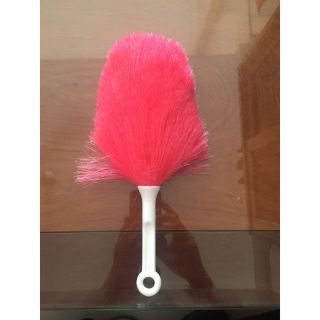 Chổi quét bụi Đài Loan 29cm (nhí)