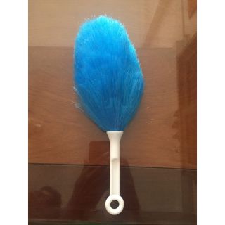 Chổi quét bụi Đài Loan 29cm (nhí)