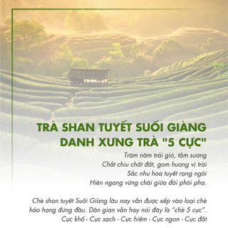 Trà Shan Tuyết Cổ Thụ W921 Dotea 50g - Chát Thanh Vị Đậm Đà Hậu Ngọt Bùi Hương Thơm Cốm Mới