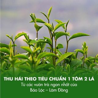 Hồng trà đen pha trà sữa gói dùng thử 10g nguyên diệp hồng trà B541 dotea