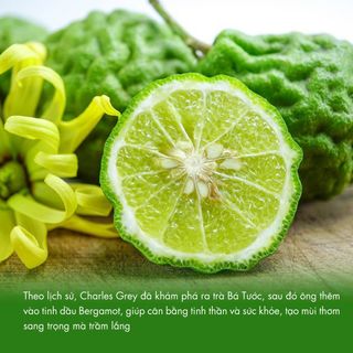 Trà đen bá tước cao cấp B553 Dotea 100g vị thơm tao nhã hương Bergamot nồng nàn nguyên liệu trong pha chế đậm vị trà