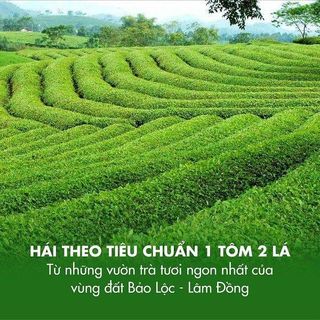 Trà đen B251 Dotea 500g vị ngọt trái chín hương thơm tự nhiên