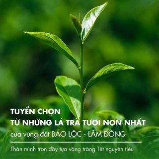 Trà ô long chính nguyệt L363 Dotea 100g chát nhẹ hậu ngọt săc nước vàng trong mùi oolong thuần khiết hương thơm tinh tế