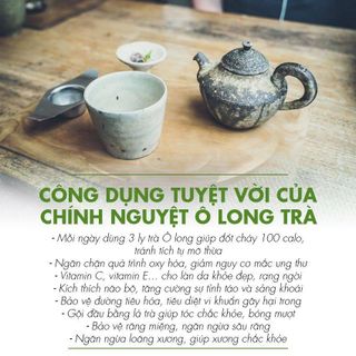 Trà ô long chính nguyệt L363 Dotea 100g chát nhẹ hậu ngọt săc nước vàng trong mùi oolong thuần khiết hương thơm tinh tế