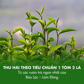 Hồng trà pha trà sữa - Nguyên diệp hồng trà B541 Dotea 100g chát bùi thanh mát hậu vị ngọt ngào