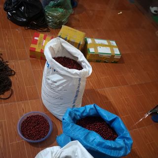 Hạt gỗ sâu chuỗi hạt bán theo ký
